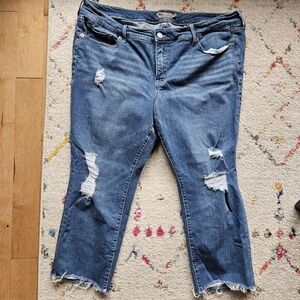 Torrid Distressed Medium Wash Jeans - 20 Short